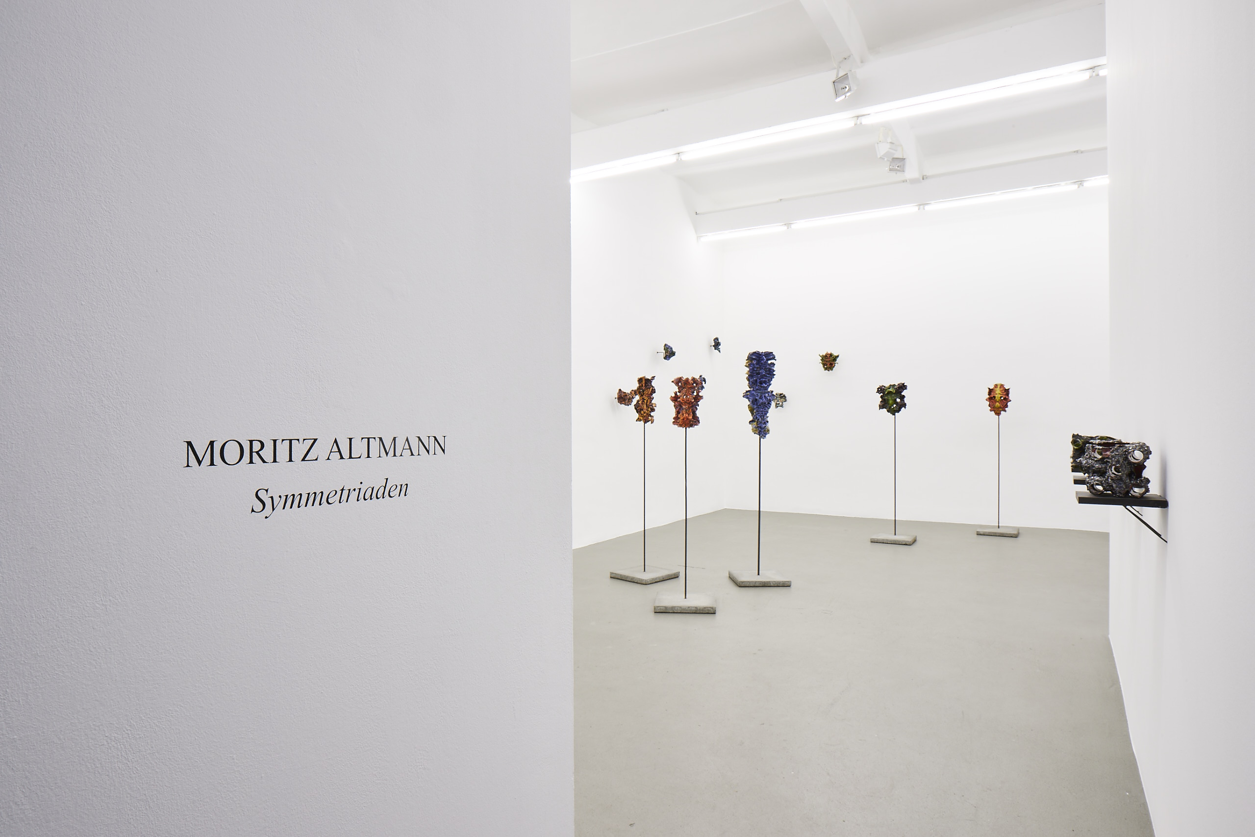 Moritz Altmann, Sfeir Semler Gallery, 2017
